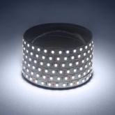 Светодиодная лента ЭРА LS2835-120LED-IP20-W-eco-5m 9,6W/m 12V холодный белый 5056183759865
