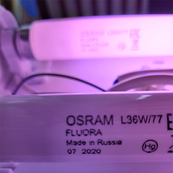 Лампа люминесцентная T8 Osram L FLUORA мощностью 36 Ватт с цоколем G13 для комнатных цветов и растений.