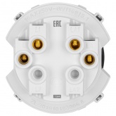 Кнопочный выключатель двухклавишный TDM Байкал 16А 250В платина