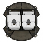 Розетка компьютерная двойная Байкал RJ45 шампань TDM