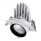 Светильник светодиодный Downlight TDM Акцент-1 LED DSL-01-030-NW 30W 4000K 24° IP40 поворотный