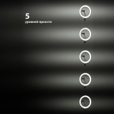 Лампа кольцевая светодиодная 16W 2700-6400К/RGB 30см настольный штатив ПДУ/диммер крепление телефона