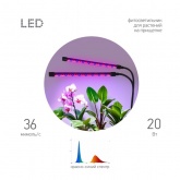 Светильник для растений на прищепке ЭРА FITO-20W-АLED-RB красно-синего спектра 20 Вт чёрный