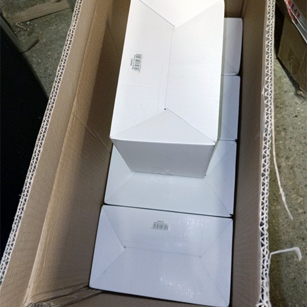 Прожектор ламповый FL-2016-1 с защитой от влаги и пыли, для двух ламп с цоколем E27, белый цвет