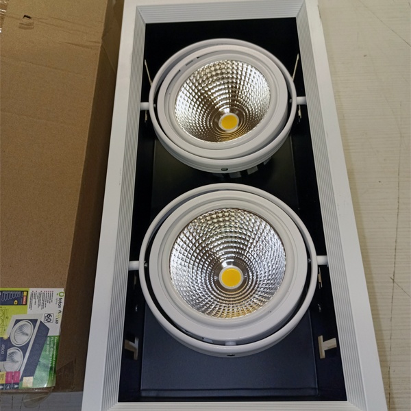 Двухламповый светодиодный карданный светильник FL-LED Grille-111-2, 60Вт  (2x30 Вт), теплый белый свет