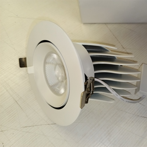 Встраиваемый LED светильник Даунлайт Акцент-1 поворотный 40Вт, теплый свет