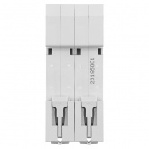 Выключатель автоматический TDM ВА47-100М 2Р  С80А 10кА 2 модуля