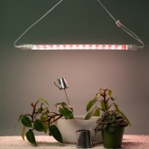 Светильник для растений, светодиодная линейная фитолампа ЭРА FITO-9W-Ra90-Т8+FITO-Holder IP65 2xG13