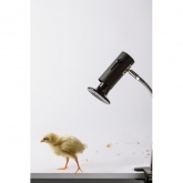 Светильник для террариумов и брудеров ЭРА FITO-E27-FLEX-CLIP max 250W на прищепке IP20