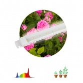 Светильник светодиодный для растений ФИТО ЭРА Т5 10W Ra90 Slim полного спектра 528x22x14mm