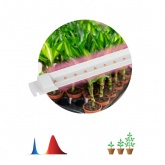 Светильник светодиодный для растений ФИТО ЭРА Т5 10W RB Slim красно синего спектра 528x22x14mm