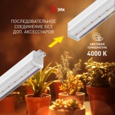 Светильник светодиодный для растений ФИТО ЭРА 35W PFR GR полного спектра 970x22x34,5mm