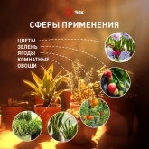 Светильник светодиодный для растений ФИТО ЭРА 35W PFR GR полного спектра 970x22x34,5mm