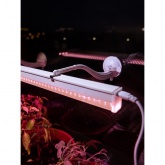 Светильник светодиодный для растений ФИТО ЭРА 35W PFR GR полного спектра 970x22x34,5mm