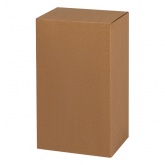 Светильник ЖКХ ЭРА НБП 04-100-001 под лампу 100W с цоколем Е27 5056396212966