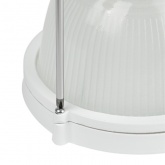 Светильник ЖКХ ЭРА НБП 04-100-001 под лампу 100W с цоколем Е27 5056396212966