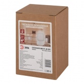 Светильник для бани ЭРА НББ 01-60-001 пластик/стекло, под лампу 60W с цоколем Е27 5056396207054