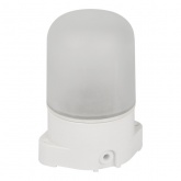 Светильник для бани ЭРА НББ 01-60-001 пластик/стекло, под лампу 60W с цоколем Е27 5056396207054