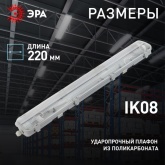 Светильник ЭРА SPP-102-0-002-120 IP65 под две светодиодные лампы T8 G13 1200мм 5056396288558