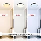 Светильник потолочный светодиодный ЭРА SPB-6 Relict 48 60W 3000-6500K RC опал черный с ДУ