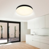 Светильник потолочный светодиодный ЭРА SPB-6 Relict 48 60W 3000-6500K RC опал черный с ДУ