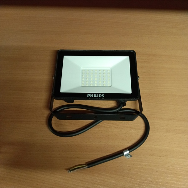 Влагозащищенный, светодиодный прожектор Филипс, мощностью 30 Ватт, холодный дневной свет фото 1