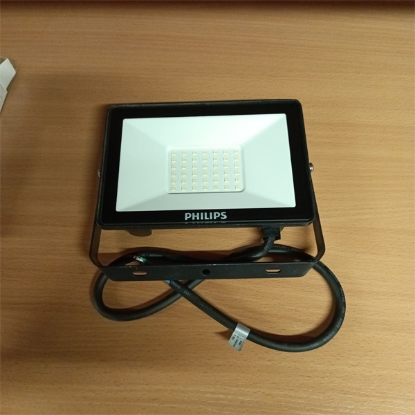 Влагозащищенный, светодиодный прожектор Филипс, мощностью 30 Ватт, нейтральный белый свет фото 1