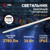 Светильник светодиодный ЭРА SPP-301-36-6K-M 36W 6500К 3780Lm IP65 L1220x39x31mm линейный, матовый
