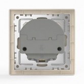 Розетка с зарядкой 2Р+Е Tokov Electric Pixel 16А 2USB тип A+C бежевый