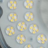 Светильник складской Feron AL1006 2835 SMD 100W 5000K AC230V 12000Lm 90° IP65 черный 230x33mm