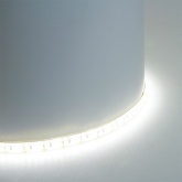Светодиодная лента Feron LS626 180SMD(2835) 17W/м 6500К 12V IP65 5000x10x1,22mm холодный белый