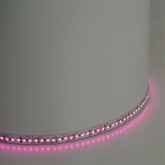 Светодиодная лента Feron LS502 180SMD(5050) 16W/м RGB 24V IP20 5000x10x1.5mm