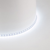 Лента светодиодная Feron LS505 120SMD(2835) 11W/м 6500K 24V freecut IP20 5000x5x1.5mm холодный белый