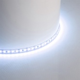 Лента светодиодная Feron LS506 120SMD(2835) 11W/м 6500К 24V freecut IP20 5000x8x1.22 холодный белый