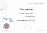 Сертификат дистрибьютора Sylvania 2018