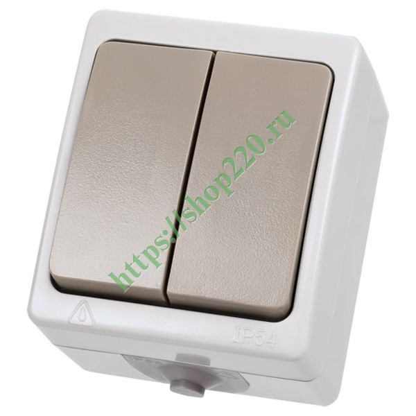 Выключатель двухклавишный открытой установки Вуокса 10А IP54 серый TDM ...