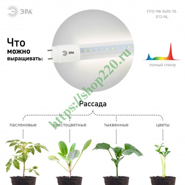 Фитолампа с цоколем g13