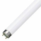 Люминесцентная линейная лампа T8 Osram L 18W/76 NATURA G13 для гастрономии 590mm изображение 1