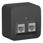 Накладная розетка 2-ая компьютерная RJ45 кат.5E SE Blanca антрацит изол.пластина изображение 1