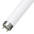 Люминесцентная линейная лампа Philips T8 TL-D 58W/33-640 4200K G13 1500mm изображение 1