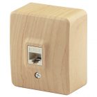 Накладная розетка ЭРА Эксперт информационная RJ45 IP20 сосна 11-3203-11 изображение 1