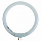 Люминесцентная кольцевая лампа Rexant T5 12W 6500K для 31-0242 изображение 1