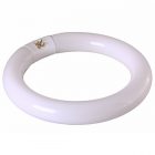 Люминесцентная кольцевая лампа Rexant T9 22W 6500K G10q для 31-0001,31-0011,31-0021 изображение 1