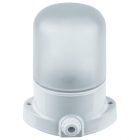 Светильник Navigator 61 509 NBL-SA1-60-E27-WH 60W IP54 (НПБ 400 для сауны) белый матовый изображение 1