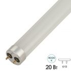 Лампа светодиодная Gauss Elementary T8 Glass 1200mm 20W 4000K 1560Lm G13 изображение 1