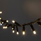 Светодиодная гирлянда ЭРА ERAPS-NK3 нить 3м теплый свет 100LED черный каучук 220В IP65 изображение 1