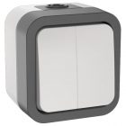Выключатель 2-клавишный ИЭК TORS TS205 10А IP55 серо-белый изображение 1