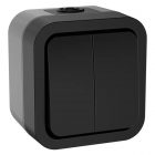 Выключатель 2-клавишный ИЭК TORS TS105 10А IP55 графит изображение 1