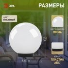 Светильник садово-парковый ЭРА НТУ 01-60-201 шар белый D200mm Е27 изображение 13