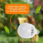 Антимоскитная лампа Rexant 10W 6500K 220V E27 20м2 172x95x95мм (синее свечение) изображение 8